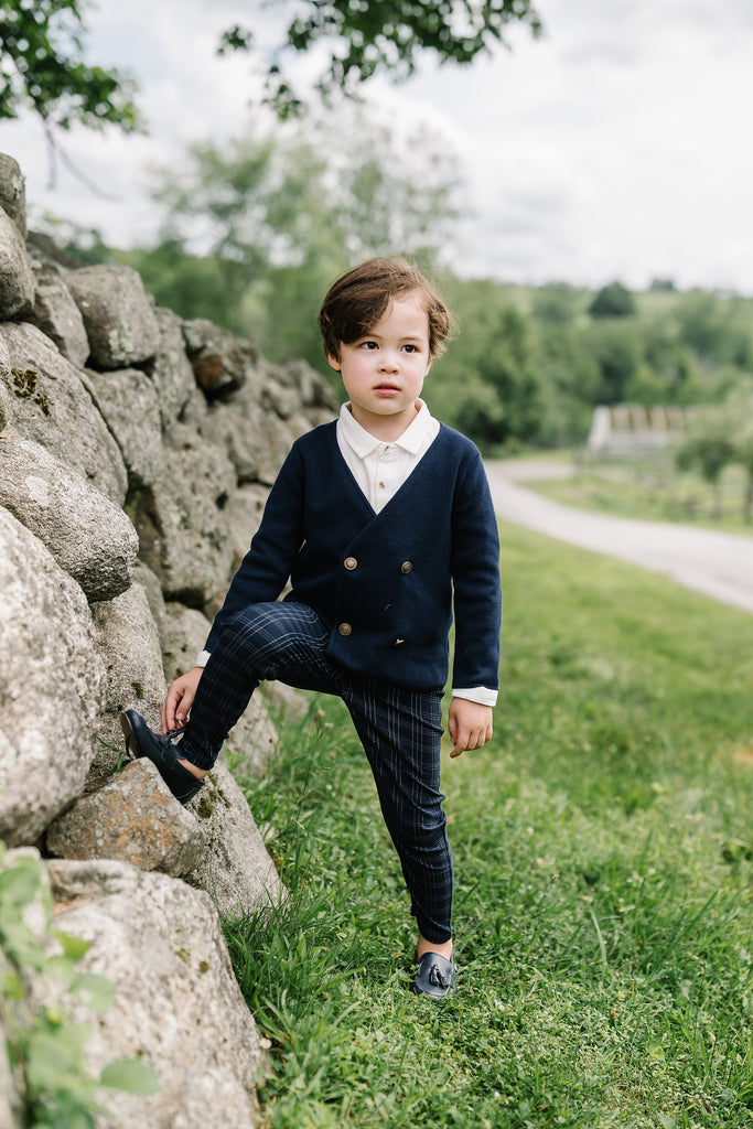 Analogie Plaid Pants - Navy Windowpane – The Shoppe Miami