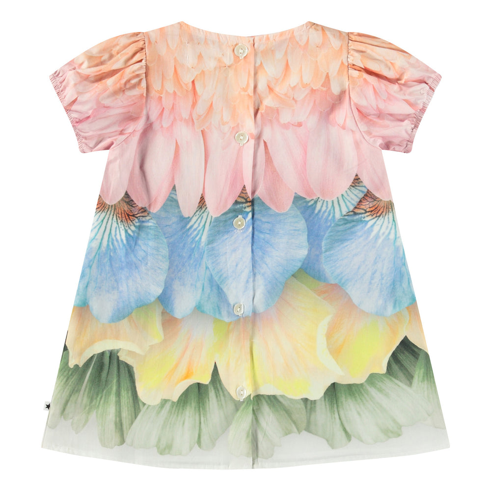 Molo Caja Baby Dress - Petal Rainbow