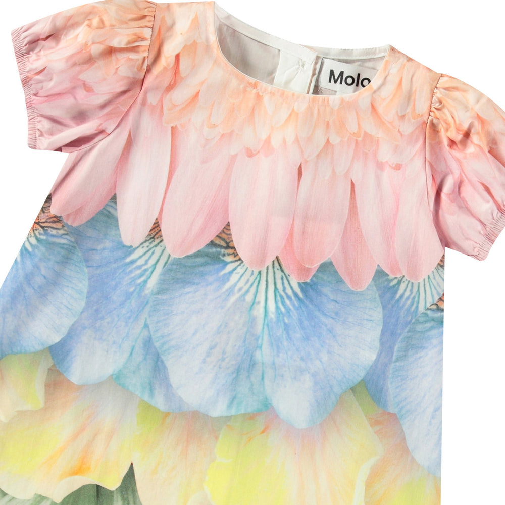 Molo Caja Baby Dress - Petal Rainbow