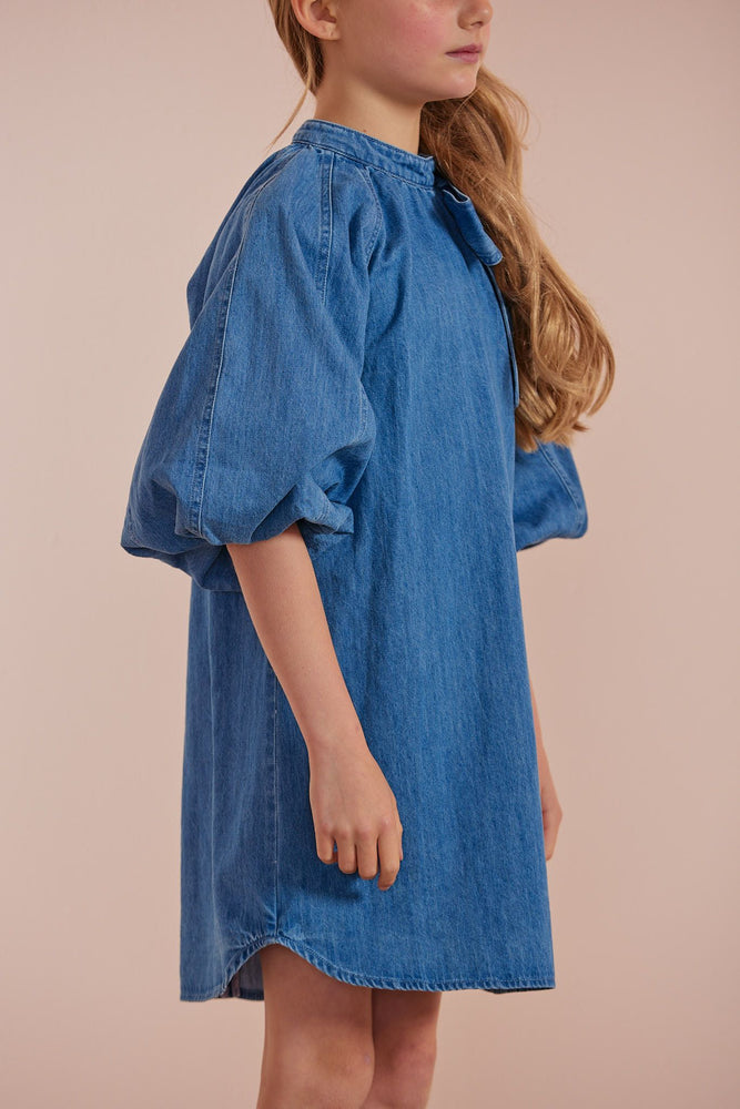 Petite Amalie Pink Bow Neck Dress - Dark Chambray