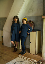 Analogie Tiny Check Dress - Blue
