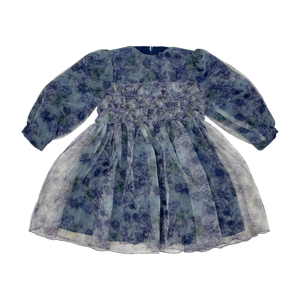 Teela Organza Dress - Blue