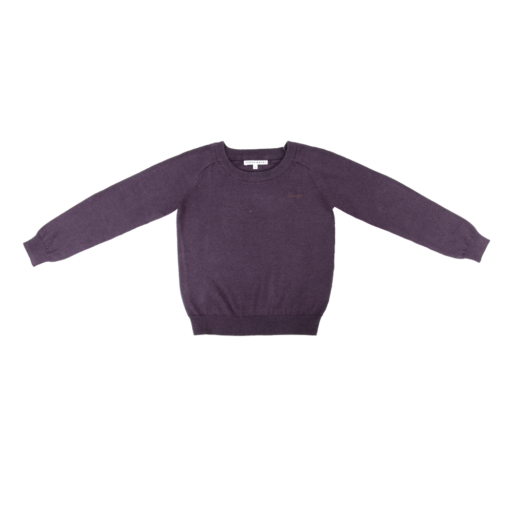 Little Parni Boys Sweater - Plum