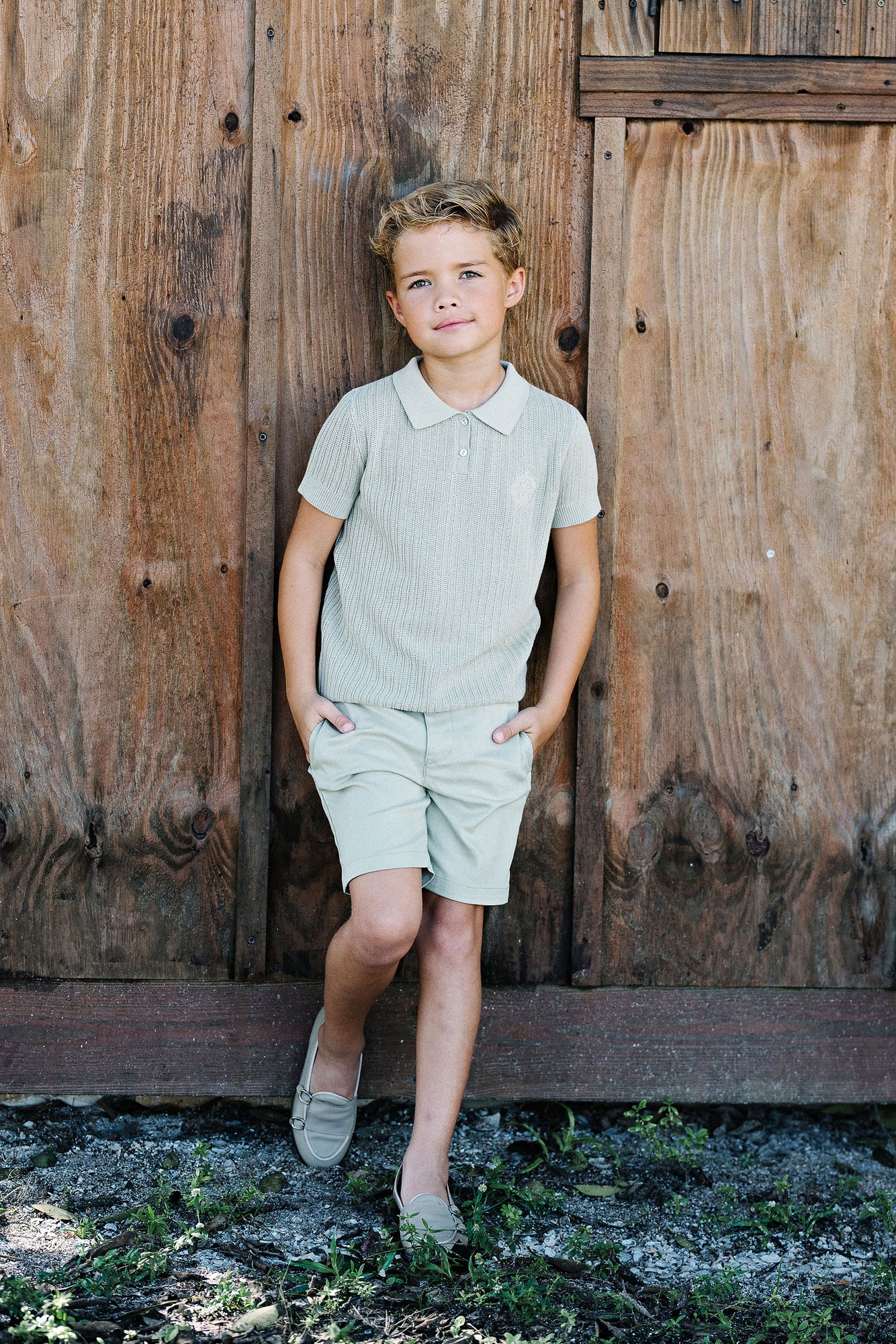 Analogie Dress Shorts Shrub Green / 6 Analogie Dress Shorts Shrub Green / 6