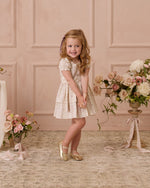 Noralee Annette Dress - Floral Stripe
