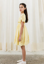 Petite Amalie Embroidered Linen Dress - Lemon