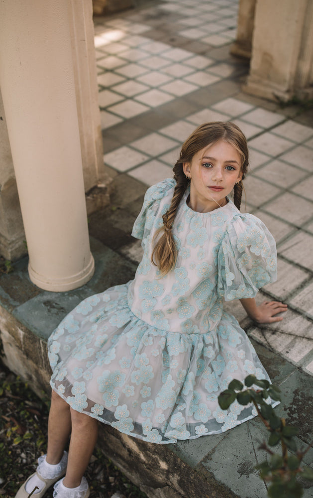 Petite Amalie Embroidered Tulle Dress - Seafoam