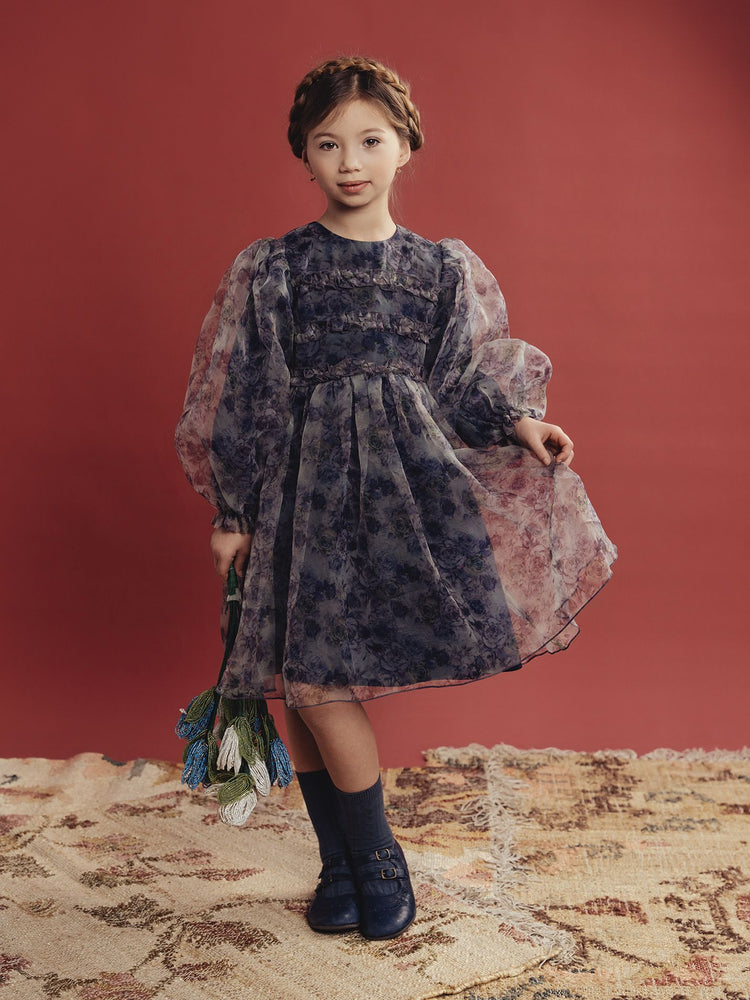 Teela Organza Dress - Blue