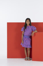 Bon Mot Vertical Stripe Mini Skirt - Raspberry