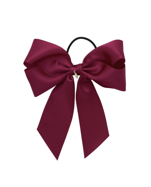 Project 6 Oversized Bow/Pony Clip