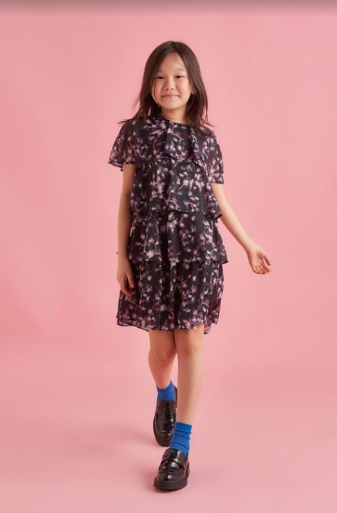 Alitsa Printed Layered Tulle Dress
