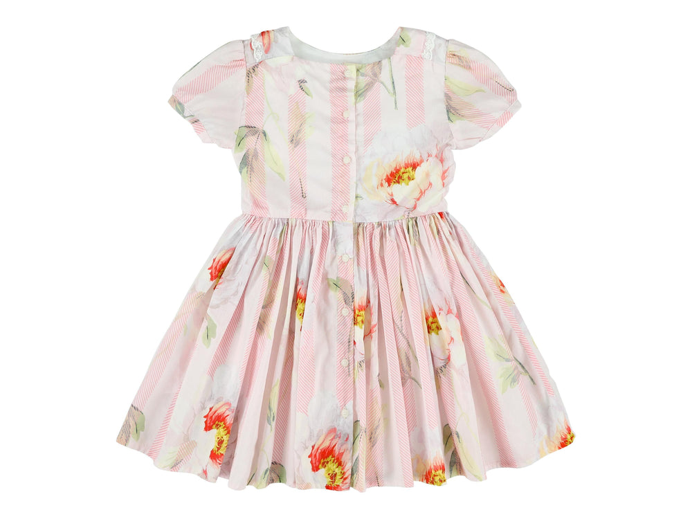 Morley Skippy Dress - Charlotte Camelia