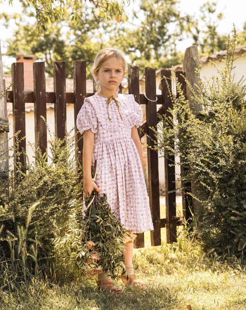 Cosmosophie Bella Picnic Dress