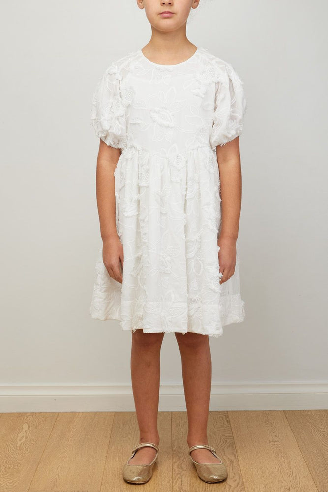Petite Amalie Sienna Applique Dress