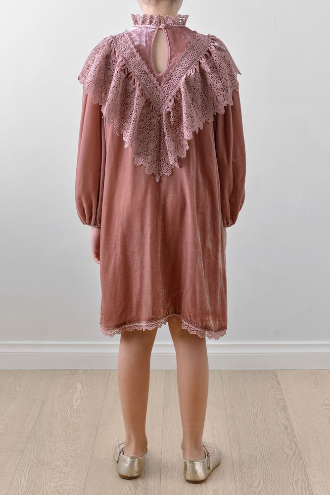 Petite Amalie Velvet Crochet Lace Dress - Winter Rose