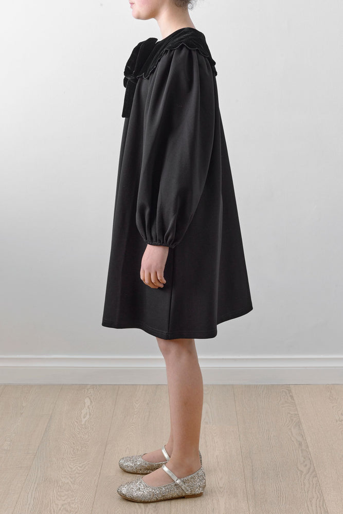 Petite Amalie Double Knit Velvet Scallop Collar Dress - Black
