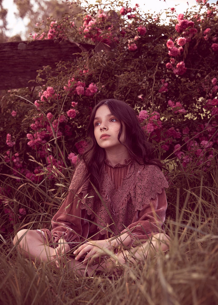 Petite Amalie Velvet Crochet Lace Dress - Winter Rose